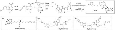 In Vitro and In Situ Activity-Based Labeling of Fibroblast Activation Protein with UAMC1110-Derived Probes